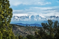 Almora View