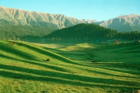 Gulmarg in Summer