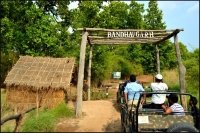 Bandhavgarh National Park 