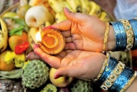 Festivals in Darbhanga