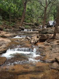 Jamuna Prapat (Bee Fall)