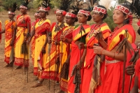 Chhattisgarh Tribal Culture
