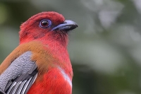 Namdapha National Park