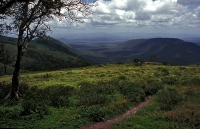 Bandipur National Park 