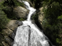 Monkey Falls, Coimbatore district