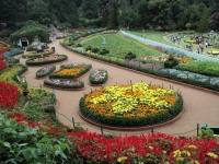 Coonoor Gardens