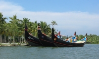 Kollam Backwaters