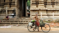 Madurai Streets