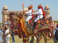 Bikaner Celebrations