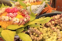 Omkareshwar offerings
