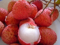 Lychee Fruit