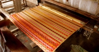 Assam silk