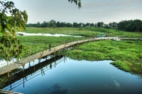 Majuli Island