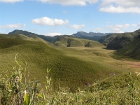 Dzukou Valley