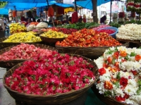 Flower Market