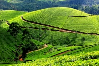 Hill Station, Kerala
