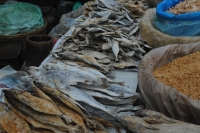 Dried Fish at Mapusa Friday Market
