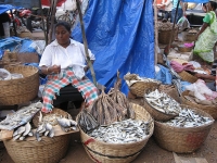 Margao Market, North India