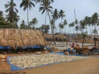 Colva Beach, South Goa